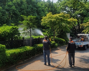 마포구, 친환경 방제로 '러브버그' 잡는다