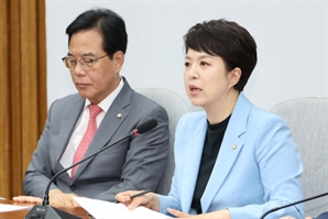 김은혜 "李 정부 부동산 대출 규제…외국인만 날개 달아"