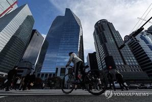 S&P “韓 기업 1년 간 신용 리스크 확대…긍정적 전망 한 곳도 없어”