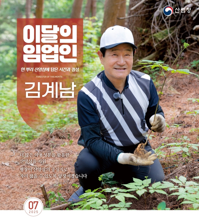 7월 ‘이 달의 임업인’으로 선정된 평창모릿재산양산삼 김계남 대표. 사진제공=산림청