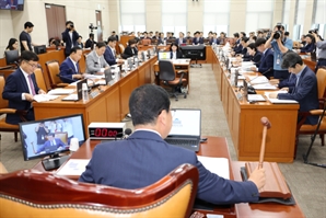 '13조 민생회복 소비쿠폰' 추경안, 여야 합의로 행안위 소위 통과