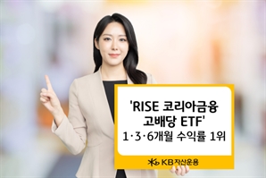 고배당 ETF 왕중왕…'RISE 코리아금융고배당' 1·3·6개월 수익률 1위