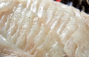 "사장님 이 가격 맞아요?"…광어 먹으러 갔다가 깜짝 놀란 사람들, 무슨 일