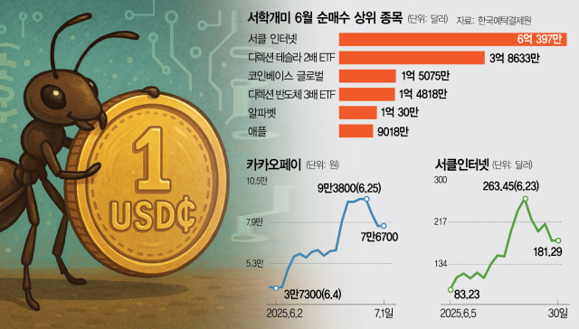 낮엔 카카오페이, 밤엔 美 서클…스테이블코인 24시간 '투자 광풍'