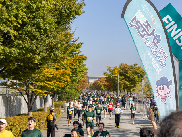 사진 제공 = 서울 강서구