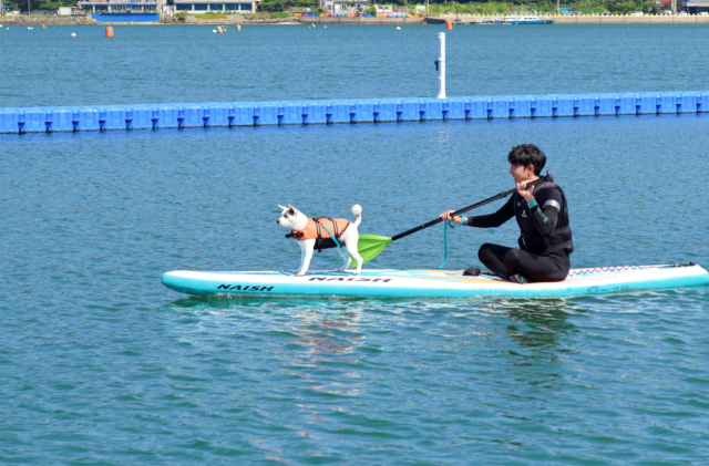 전국 지자체 최초로 반려동물 해수욕장을 조성한 거제 명사해수욕장. 사진 제공=경남도
