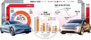 日·중남미로…해외 영토 넓히는 中 비야디