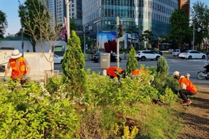 "주민 손길로 가꾸는 녹색도시"…용산구, ‘나무돌보미’ 사업 활기