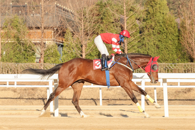 문세영 기수의 2000승 달성 경주. 사진 제공=한국마사회