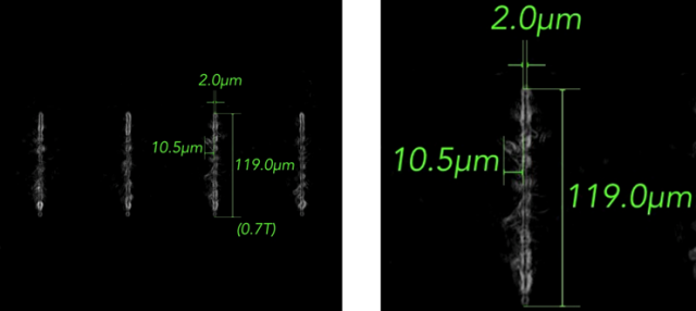 큐빅셀 FSH 장비로 촬영한 레이저 변형(Laser modification) 이미지. 사진제공=큐빅셀