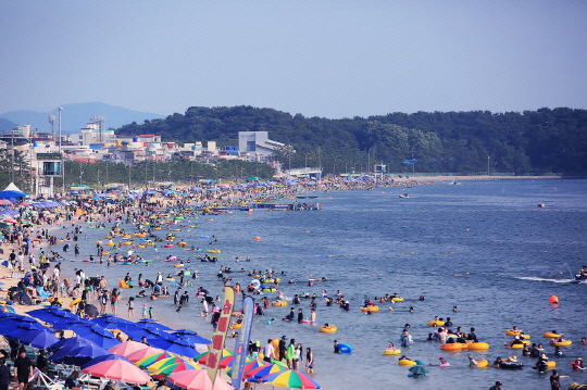 충남 보령 대천해수욕장. 사진제공=보령시