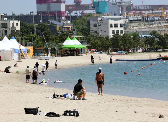 5일 인천 중구 영종도 선녀바위해수욕장에서 열린 '인천 댕댕(반려견) 썸머비치'를 찾은 반려견과 보호자들이 더위를 식히고 있다. 연합뉴스