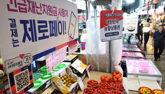 전국민 소비쿠폰에 발등 불떨어진 카드사…고객 유치전 '눈치'