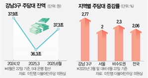 강남 3구, 주담대 증가폭 전국의 1.3배