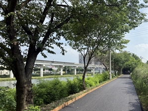 용인시, 경안천 제방 둑마루 구간 환경 개선 사업 마침표