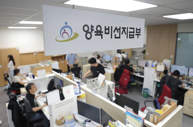 '양육비 선지급제' 판치는 '꼼수'…"4년간 한 푼 안 보낸 전남편, 갑자기 20만원 송금"
