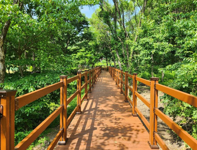 용인자연휴양림 무장애 산책로. 사진 제공 = 용인시