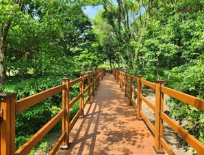 용인자연휴양림 새단장 마치고 개방