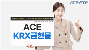 국내 최대 금현물 ETF, 올 개인 순매수 3000억 돌파