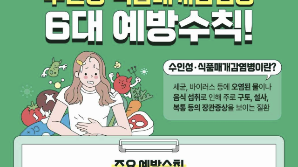 ‘식중독 유발’ 살모넬라·캄필로박터 감염 환자 한달새 2배… “손 씻고 익혀 먹자” [헬시타임]