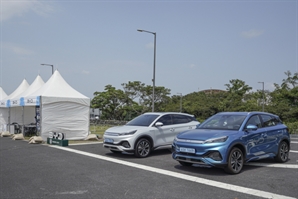 렌터카 뚫고 엑스포까지…BYD, ‘전기차 천국’ 제주 공략 가속화