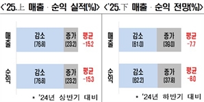 국내 자영업자들 "상반기 순이익 15%↓…하반기도 8% 감소 전망"
