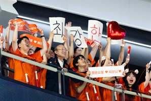 기사제목