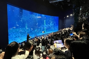 기사제목