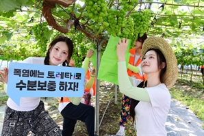 토레타! 대학생 농촌봉사단체에 음료 지원