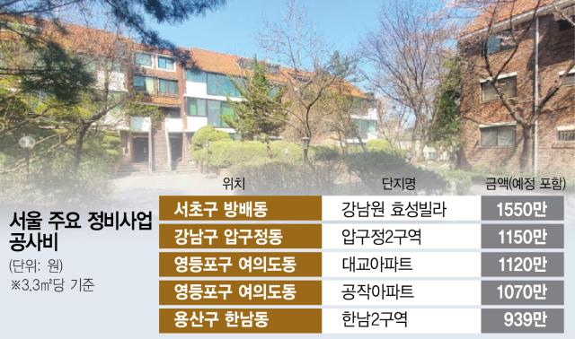 사진 설명