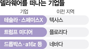 글로벌 VC도…'반기업적 판결'에 脫델라웨어 행렬