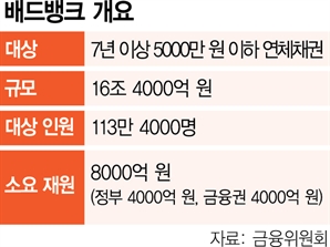 배드뱅크 내달 설립…10월부터 연체채권 사들인다