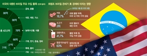 트럼프 관세에 美 물가 초비상…룰라는 "美와 무역 안 해도 산다”