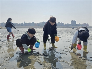 오이도 갯벌서 여름나기[시흥톡톡]