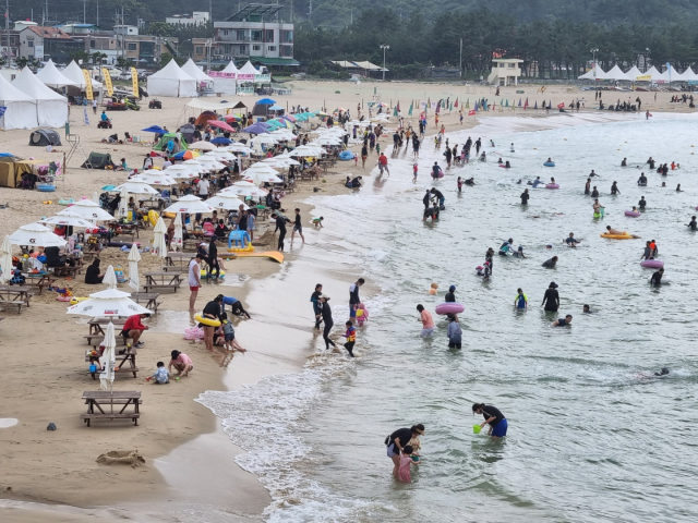 양양 남애해변 전경. 뉴스1