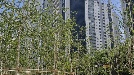 서울에서 10억 미만인데…방3개·초품아·성동구[박형윤의 힘숨찐 아파트]