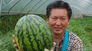 "농사 지어봐서 아는데…수박 노노" 정청래, 왕수박 들고 해명