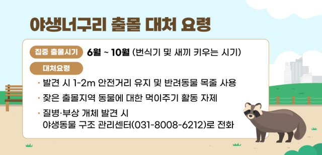 안양시 야생너구리 출몰 시 행동 안내문. 이미지 제공 = 안양시