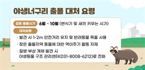 안양시, 안양천 등에 야생너구리 주의보