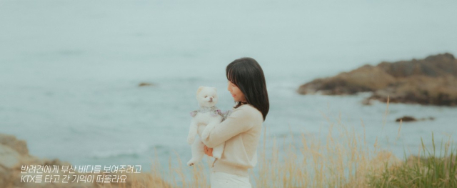 14일 부산시가 공개한 ‘우리 부산에 가자’의 뮤직비디오 여행자 사연 영상. 사진제공=부산시