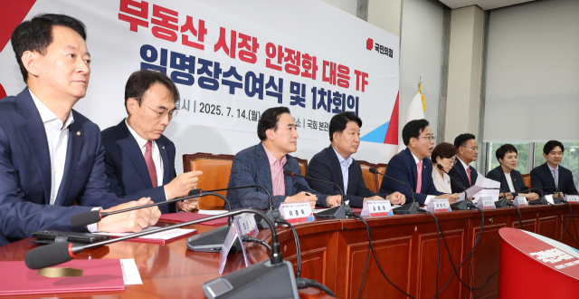 송언석 국민의힘 비상대책위원장 겸 원내대표(오른쪽 다섯번째)가 14일 국회에서 열린 부동산 시장 안정화 대응 TF 임명장 수여식 및 1차 회의에서 발언하고 있다. 연합뉴스