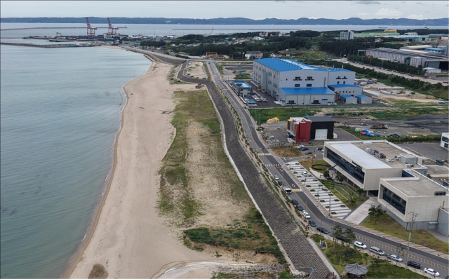 해안방재림이 조성될 경북 포항시 북구 흥해읍 일대. 사진제공=산림청