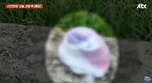 "제정신인가? 두 눈을 의심했다"…경복궁에 나타난 '기저귀 진상' 무슨 일?