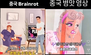 쉐이칸샹을 아시나요…'중국발 밈' 폭발적으로 유입