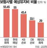 손해율 계산법 문제 많다더니…미래 사업비 낮게 잡은 메리츠화재