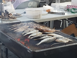 경남 사천 여름 별미 햇전어가 돌아왔다