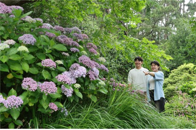 천리포수목원을 찾은 방문객이 수목원을 즐기고 있다. 사진제공=천리포수목원