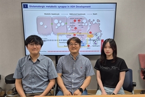 KAIST, 음주로 인한 간염 유발 원리 최초 밝혀