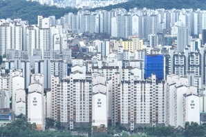 국민 1인당 가계 순자산 2억5251만원…1년새 3.3% 늘어