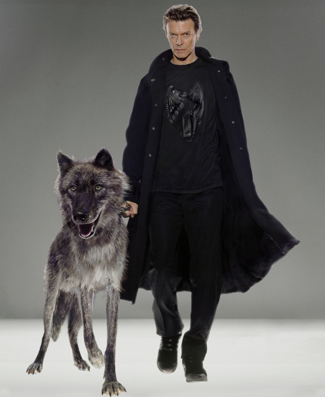 DAVID BOWIE, Natural Villians, New York, 2002 ⓒMarkus Klinko 제공=박여숙화랑
